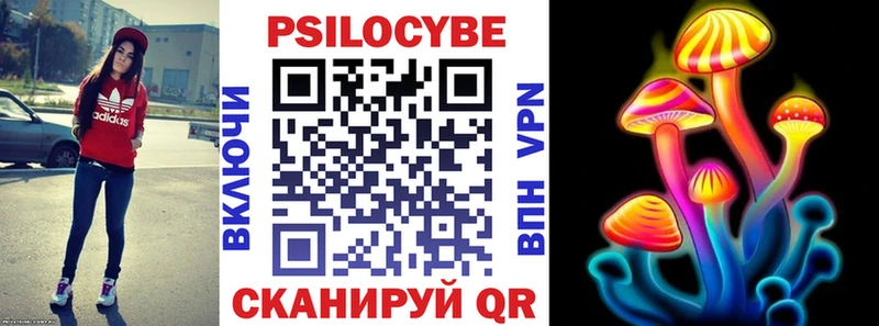 Галлюциногенные грибы GOLDEN TEACHER  Купить где  Приволжск 
